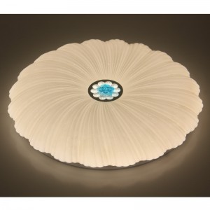 CX202 Plafondlamp