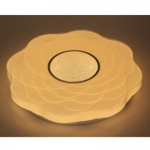 CX219 Plafondlamp