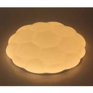 CX222 plafondlicht