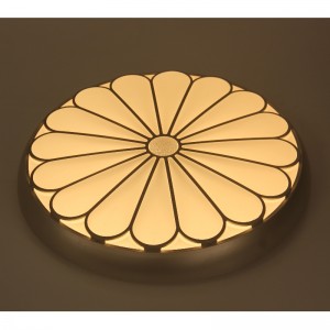 CX227 plafondlicht