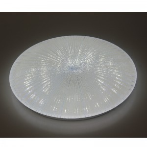 CX251 plafondlicht