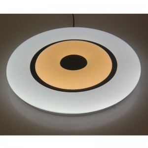 CX369 Plafondlamp
